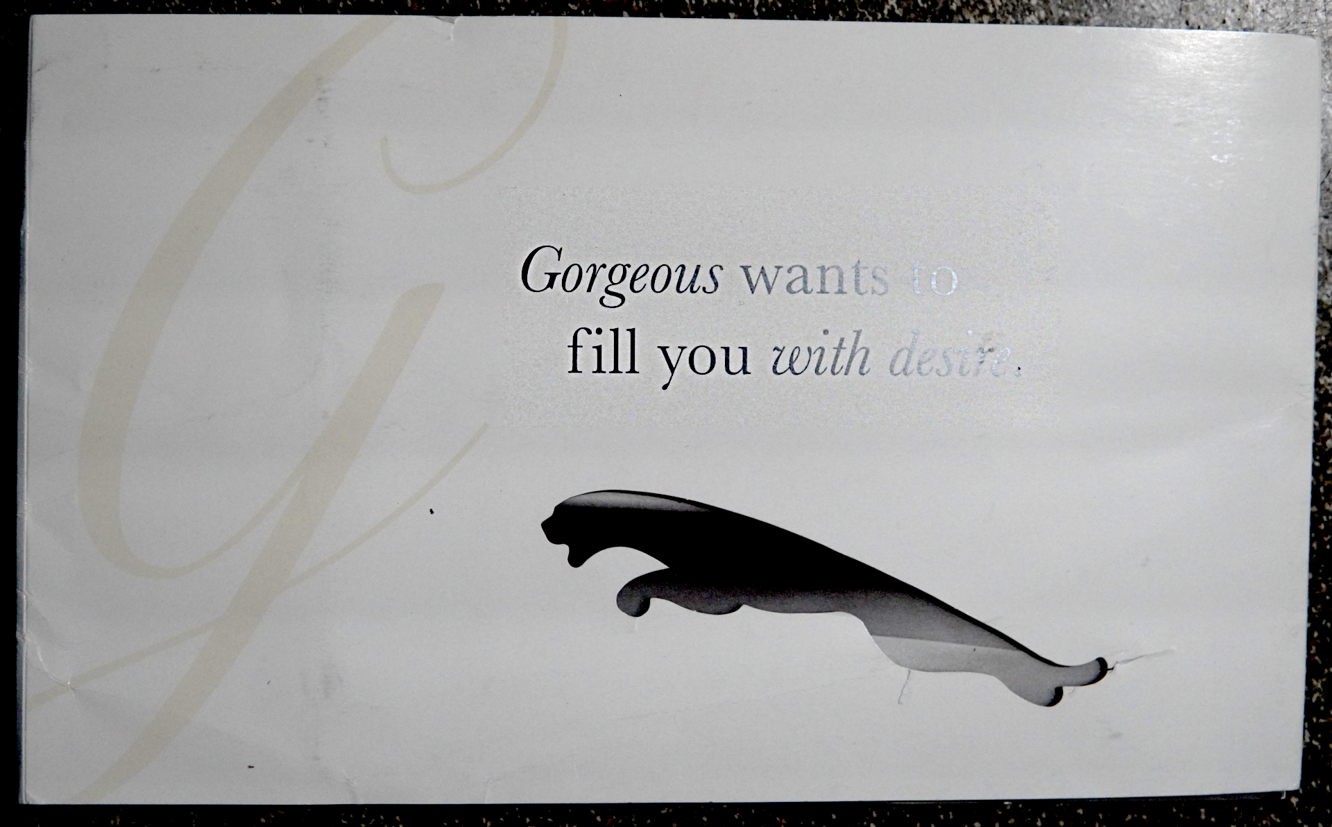 Gorgeous wants to fill you with desireSuper glossy paper is very reflective with shiny silver